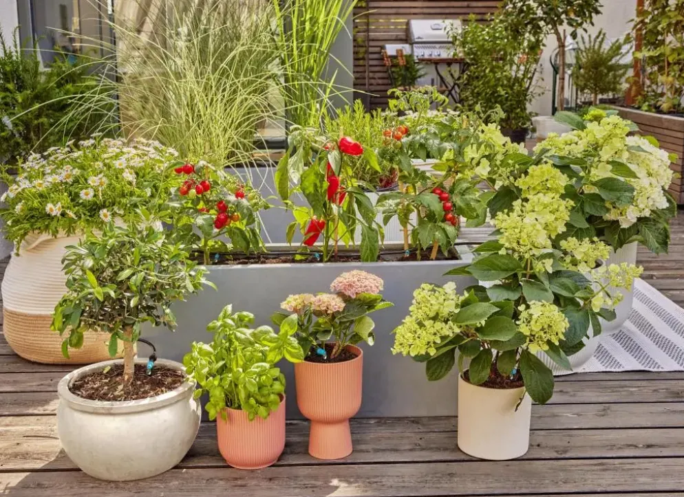 Gardena Micro-Drip-Bewatering Terras Set (30 planten)