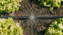 Gardena Micro-Drip-Bewatering moestuin/​bloembed Set (60 m²)​