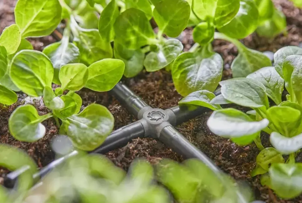Gardena Micro Drip Systeem Kruisstuk 4,6 mm (3/16")