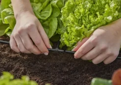 Gardena Micro Drip Systeem T-stuk 4,6 mm (3/16