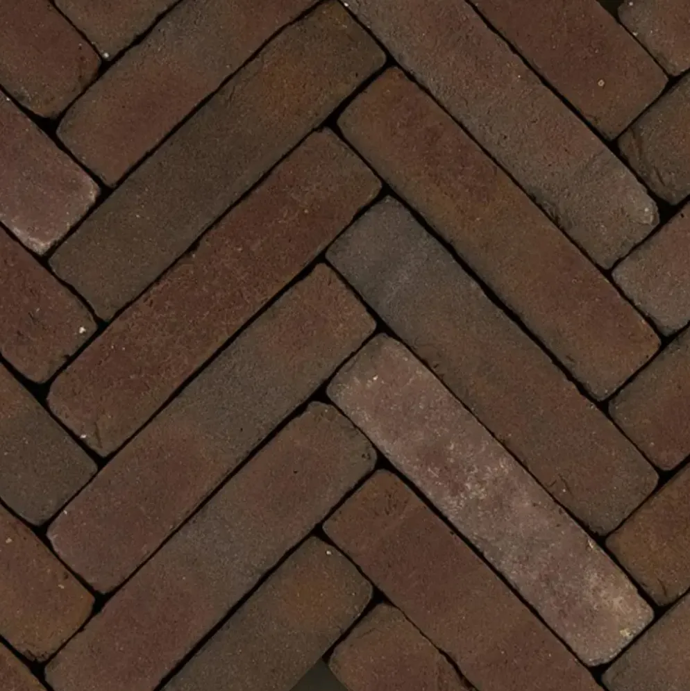 Gardenlux Gebakken Waalformaat Art Bricks Getrommeld Vermeer 5x20x6 cm