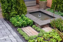 Gardenlux Hardsteen Vijverafdekranden Met Facet Asian Bluestone Blauw gezoet 3x20x100 cm