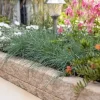 Gardenlux Rockline Walling Small Mosselkalk 40x10x10 cm