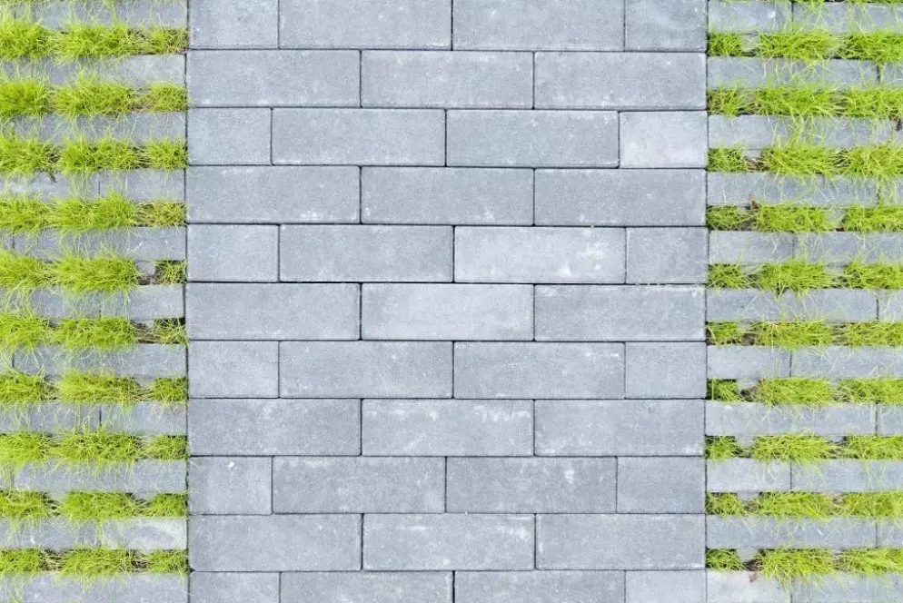 Gardenlux Waterpasserende Aqua Bricks Aqua Brick gesloten 10x30x8 cm