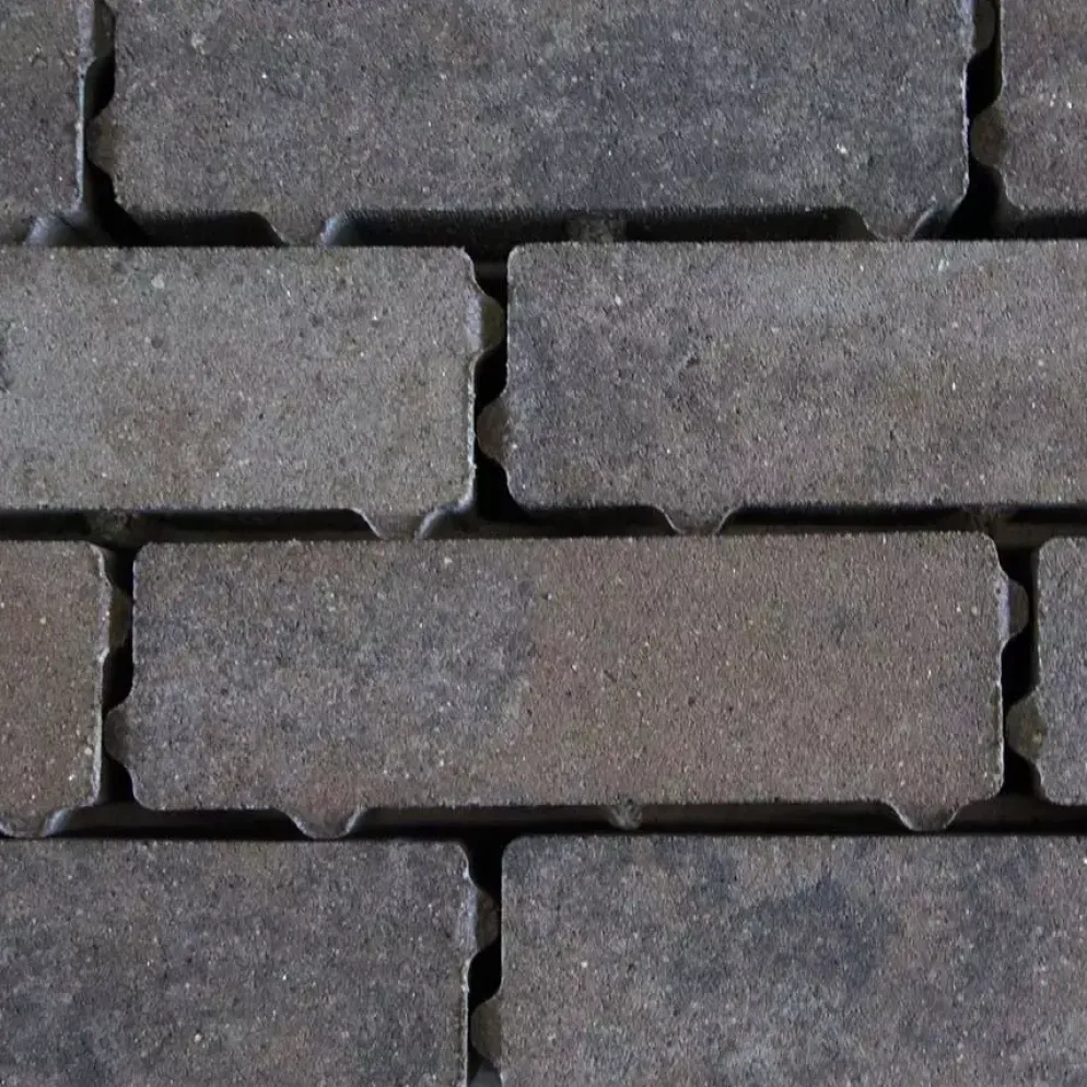 Gardenlux Waterpasserende Eco Bricks Geïmpregneerd Maeslant 7x21x8 cm