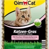 Gimcat kattengras met weiland aroma 150g