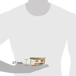 Gourmet Gold hartig torentje met zalm 85g