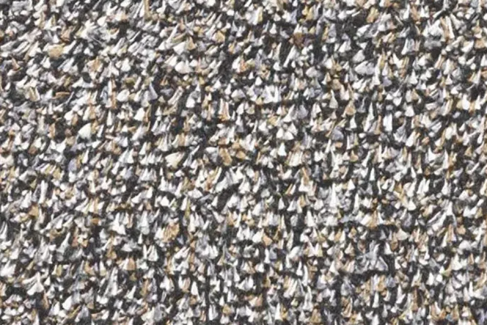 Hamat deurmat Aqua stop graniet 50x80cm