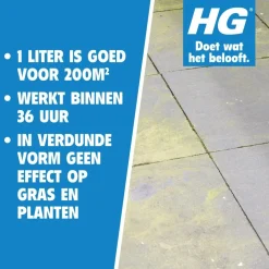HG groene aanslagreiniger concentraat 1000ml fles