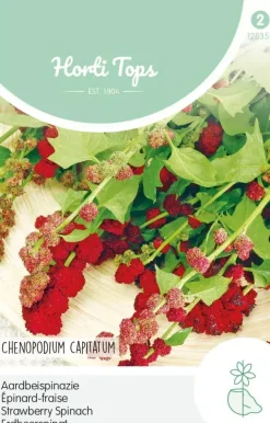 Horti tops zaden aardbeispinazie - aardbei melde