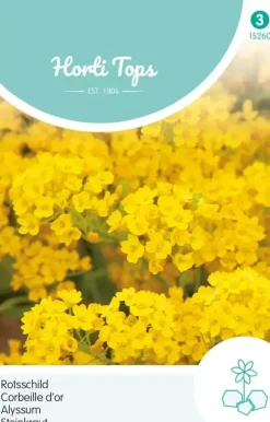 Horti tops zaden Alyssum, Rotsschild goudgeel