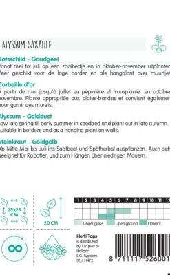 Horti tops zaden Alyssum, Rotsschild goudgeel
