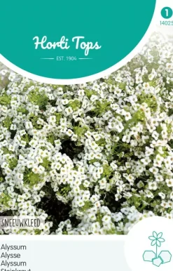 Horti tops zaden Alyssum Sneeuwkleed