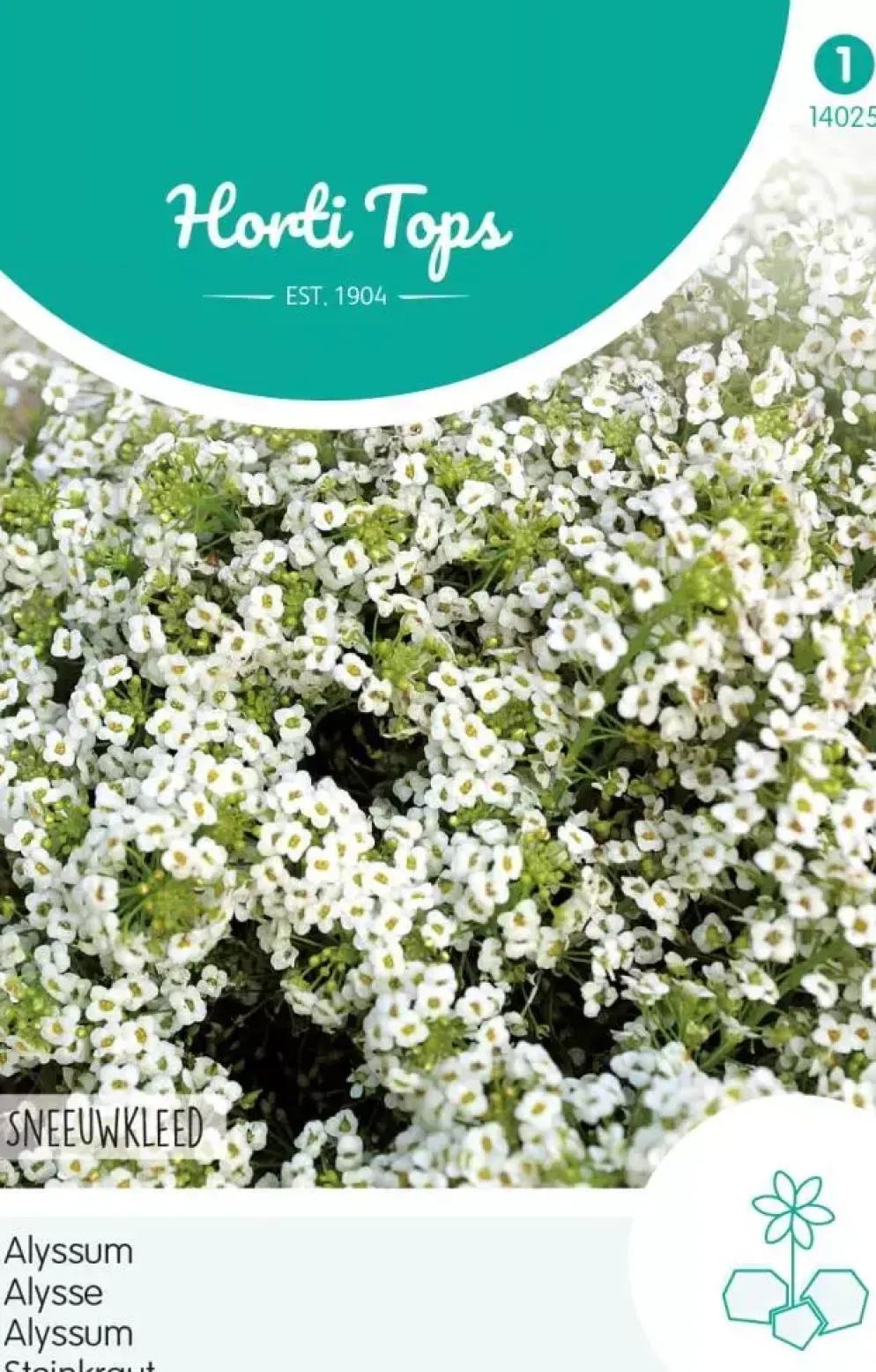 Horti tops zaden Alyssum Sneeuwkleed
