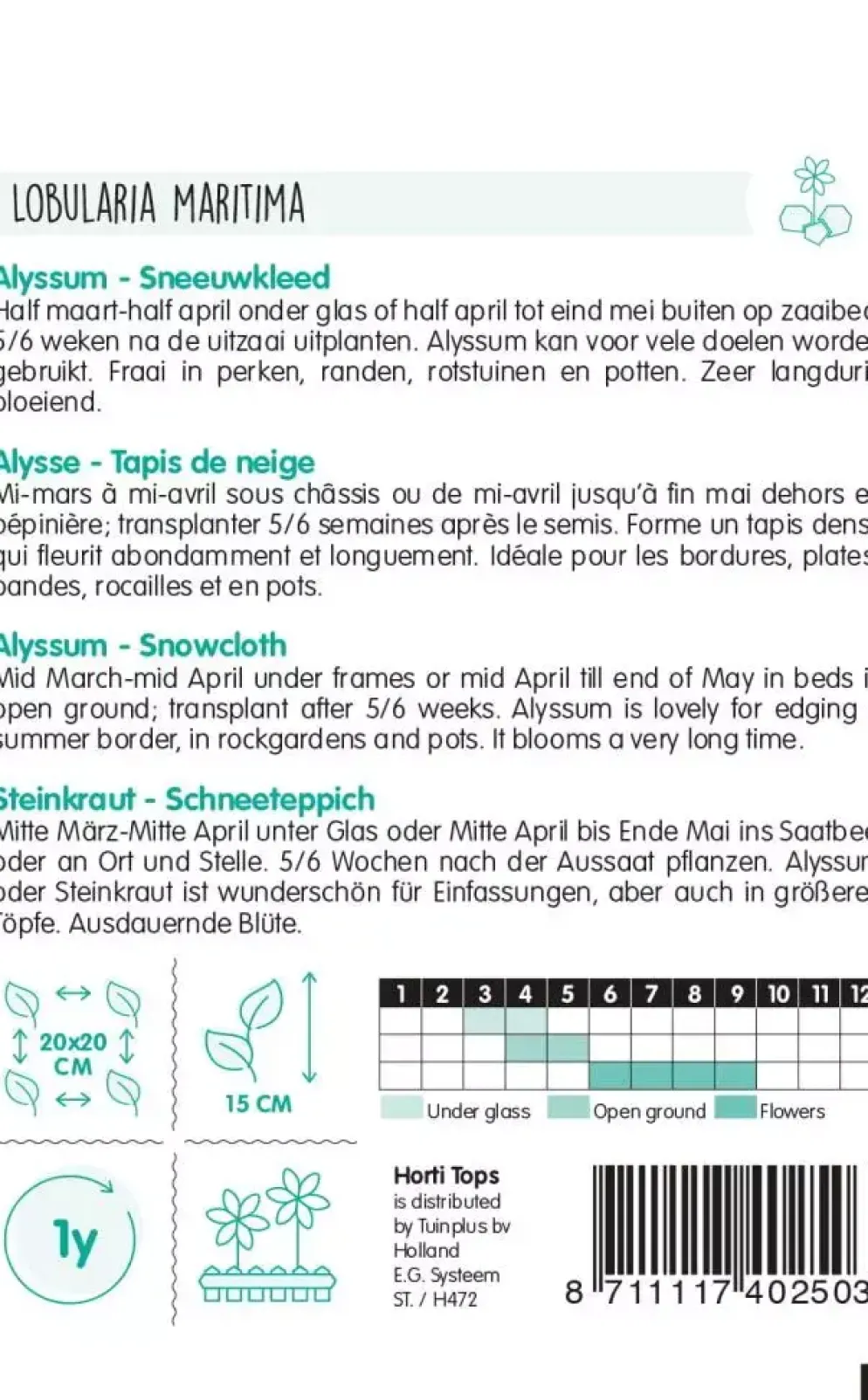 Horti tops zaden Alyssum Sneeuwkleed