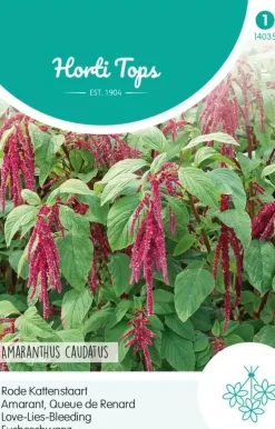 Horti tops zaden amaranthus, rode kattenstaart