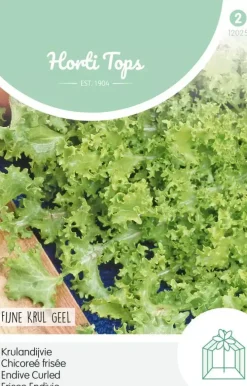 Horti tops zaden Andijvie Altijd Witte