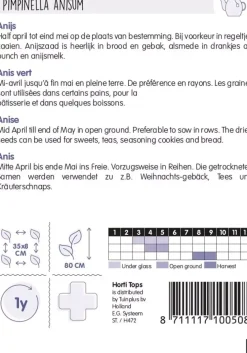 Horti tops zaden anijs