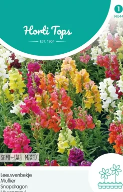 Horti tops zaden antirrhinum, leeuwenbekje half-hoge gemengd