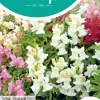 Horti tops zaden antirrhinum, leeuwenbekje tom thumb gemengd
