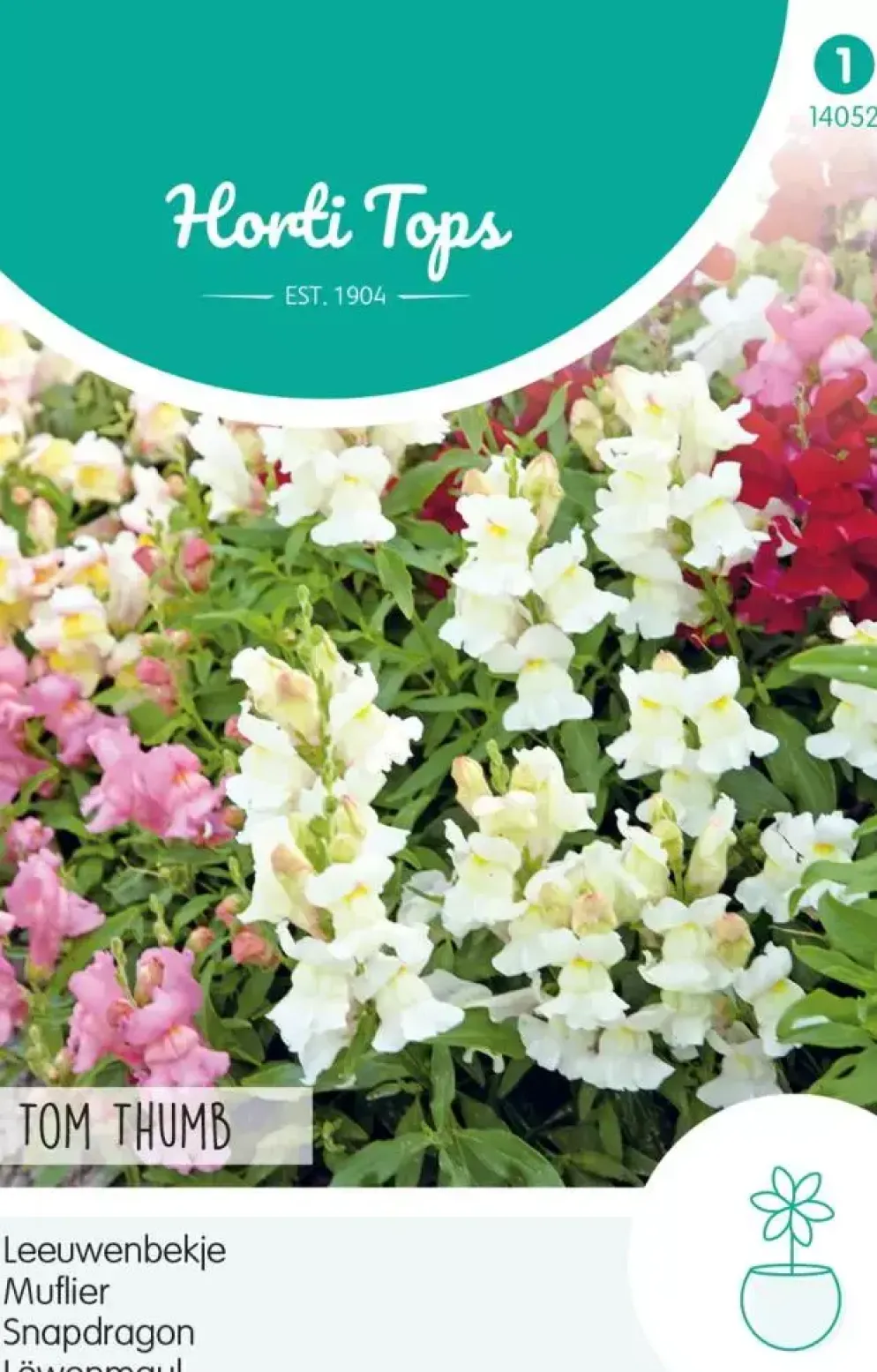 Horti tops zaden antirrhinum, leeuwenbekje tom thumb gemengd