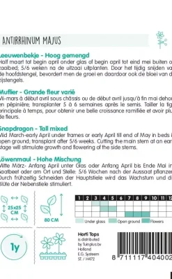 Horti tops zaden antirrhinum, leeuwenbekje hoog gemengd