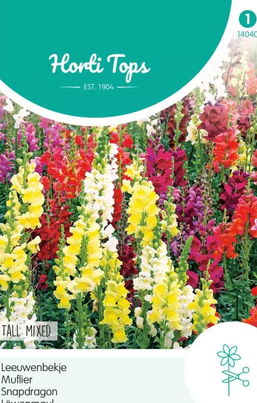 Horti tops zaden antirrhinum, leeuwenbekje hoog gemengd
