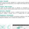 Horti tops zaden Arabis, Scheefkelk Snowball