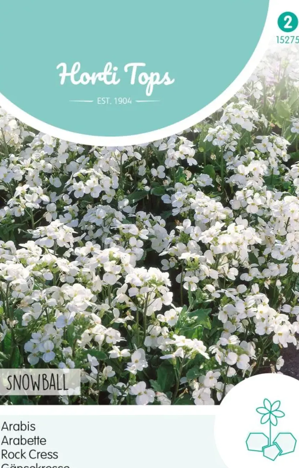 Horti tops zaden Arabis, Scheefkelk Snowball