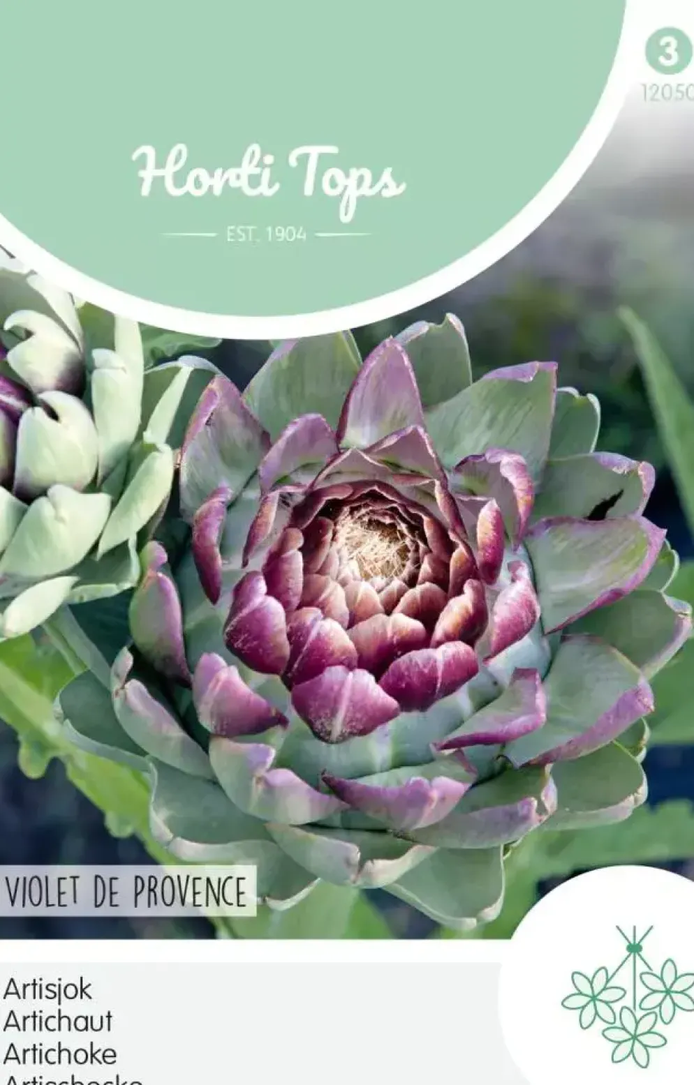 Horti tops zaden artisjok violet de provence