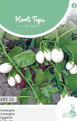 Horti tops zaden Aubergine White Eggs