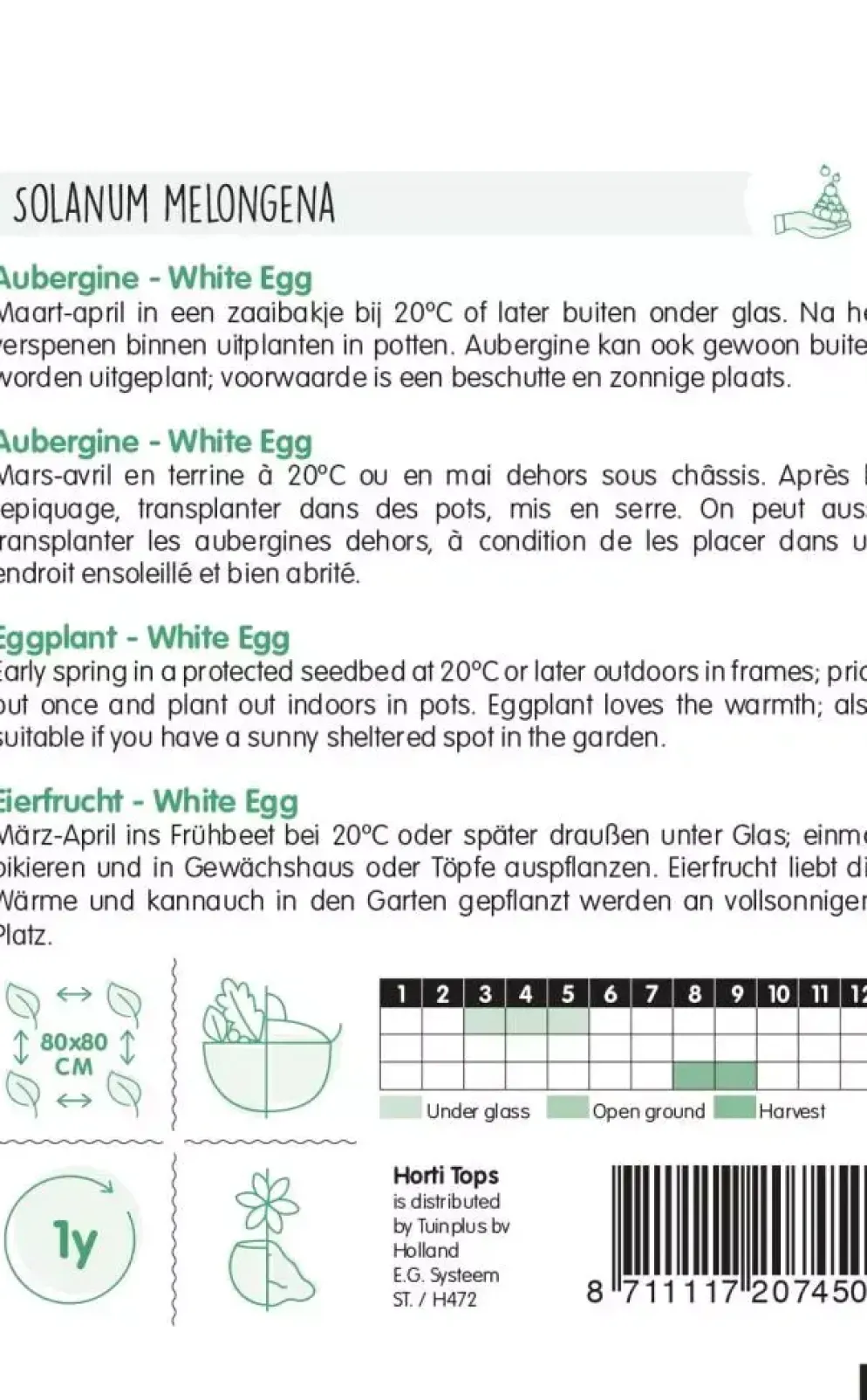 Horti tops zaden Aubergine White Eggs