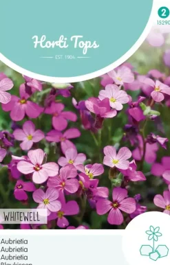 Horti tops zaden Aubrietia, blauwkussen whitewell