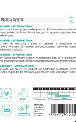 Horti tops zaden Aubrietia, blauwkussen whitewell