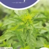 Horti tops zaden basilicum fijnbladig