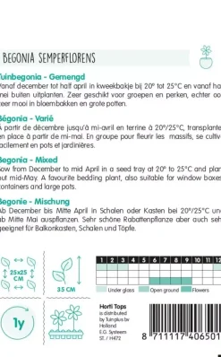 Horti tops zaden begonia, tuinbegonia gemengd