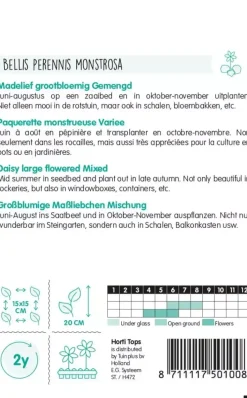 Horti tops zaden bellis perennis, madelief monstrosa dubbelbloemig gemengd