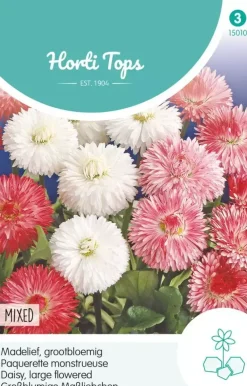 Horti tops zaden bellis perennis, madelief monstrosa dubbelbloemig gemengd