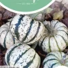 Horti tops zaden bewaar pompoen sweet dumpling (wintersquash)