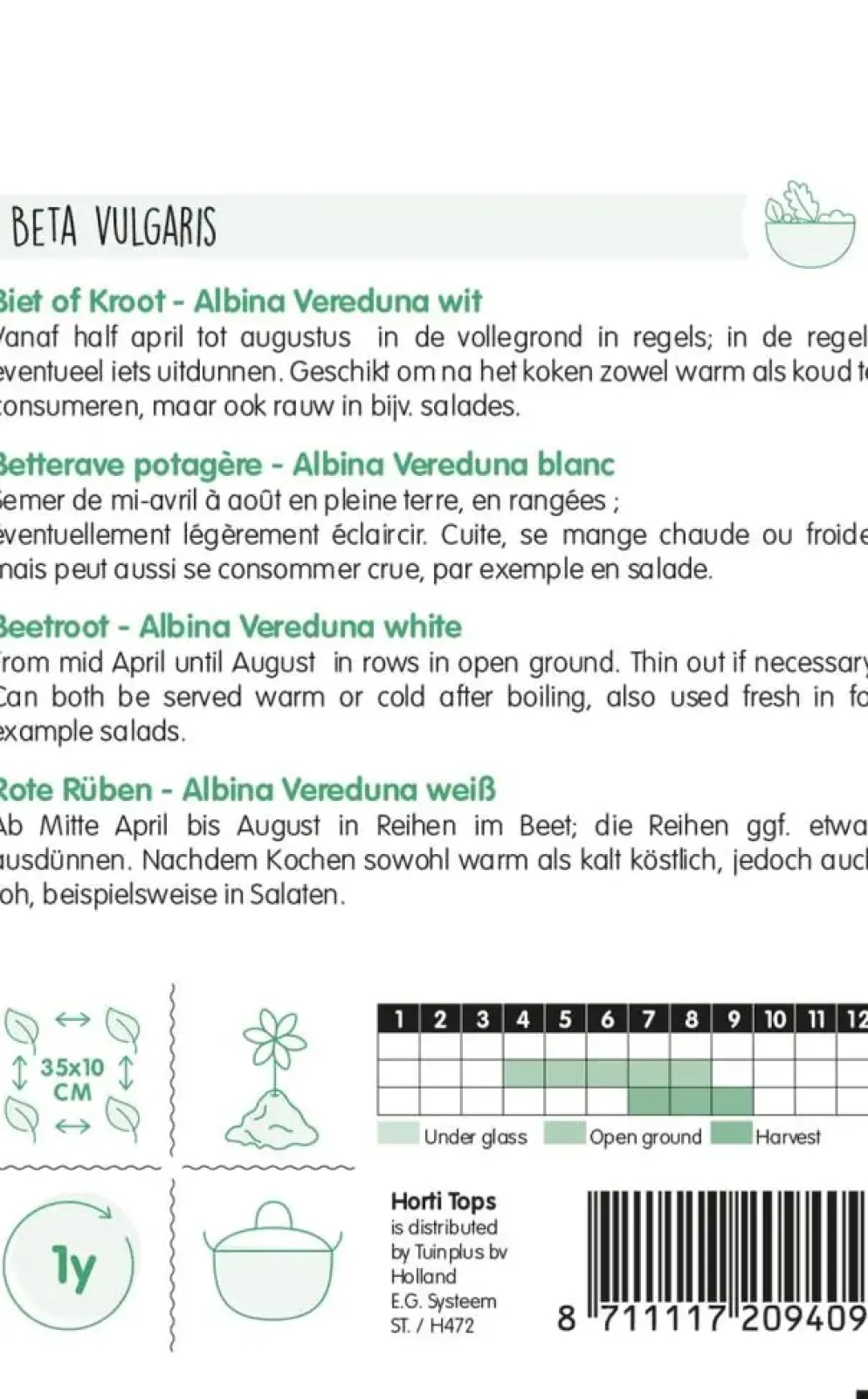 Horti tops zaden Bieten Albina Vereduna wit