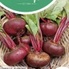 Horti tops zaden bieten egyptische platronde