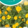 Horti tops zaden calendula arvensis, akkergoudsbloem