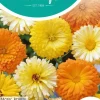 Horti tops zaden calendula, goudsbloem pacific beauty gemengd