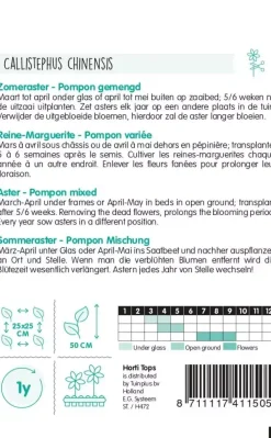 Horti tops zaden callistephus chinensis pompon