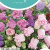 Horti tops zaden campanula, mariëtteklokje calycanthema gemengd
