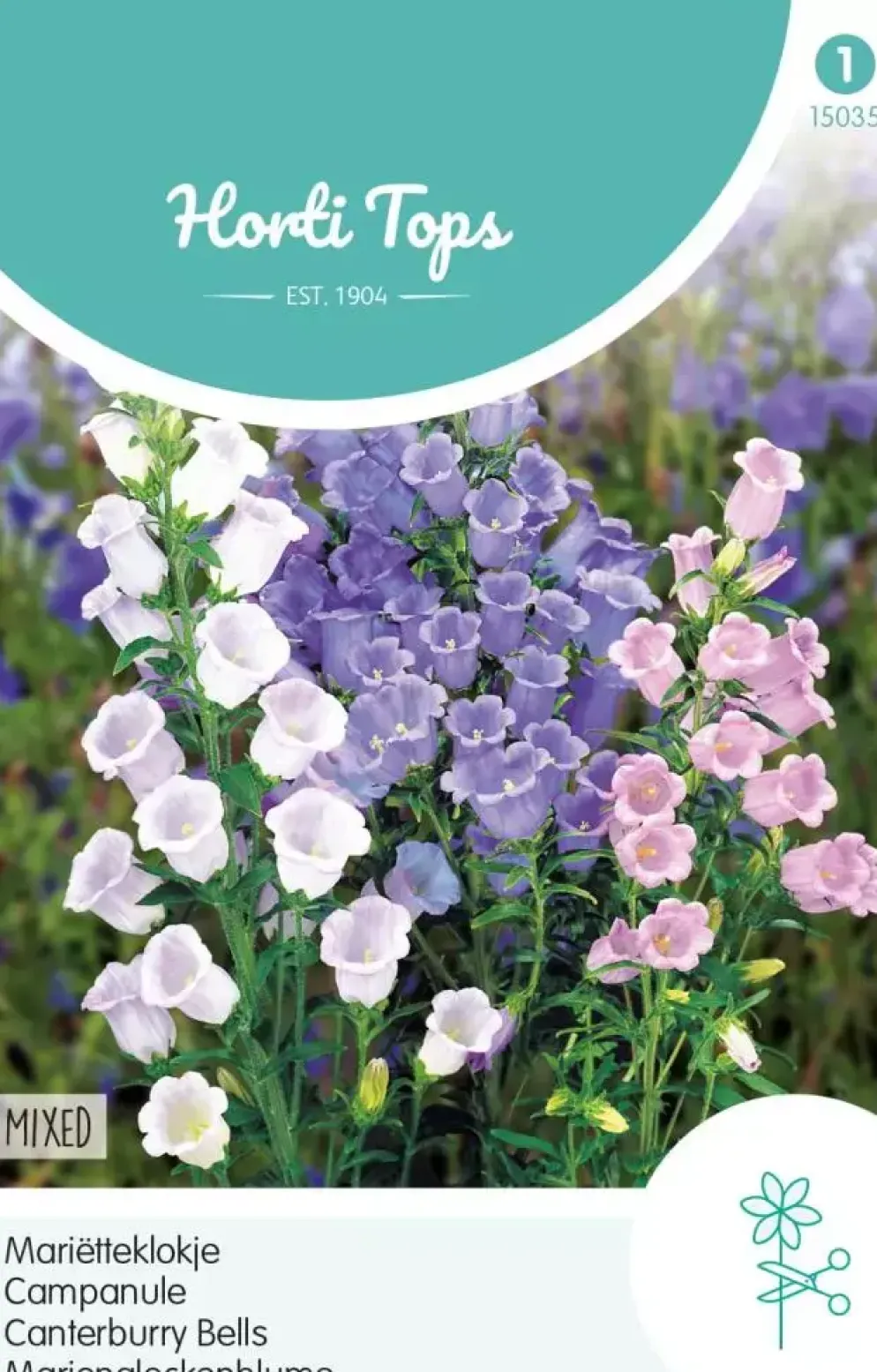 Horti tops zaden campanula, mariëtteklokje enkelbloemig gemengd