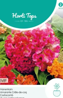 Horti tops zaden celosia, hanenkam gemengd