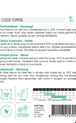 Horti tops zaden celosia, hanenkam (plumosa) gemengd