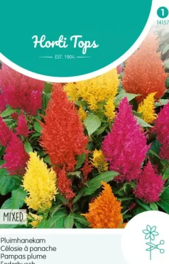 Horti tops zaden celosia, hanenkam (plumosa) gemengd
