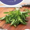 Horti tops zaden citroenbasilicum